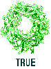True - the plant was hung from the ceiling for protection, friendship and fertility.